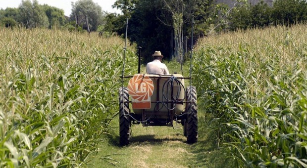 Blocca l'accesso al terreno agricolo con catena e trattore: denunciato