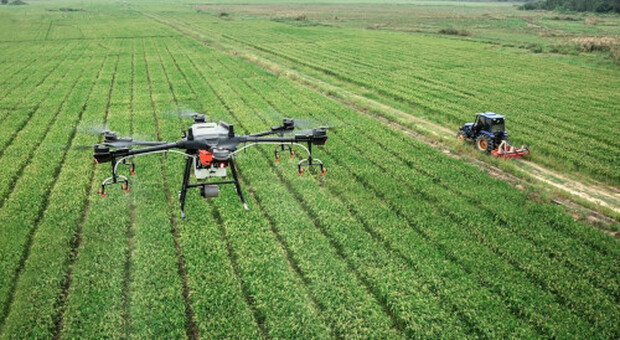 Utilizzo del drone in agricoltura