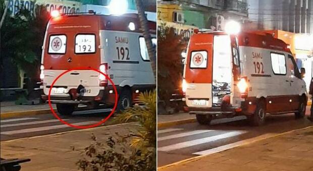La foto del cane in ambulanza postata su Facebook