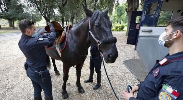 Ascoli, carabinieri a cavallo durante le festività: la disposizione riguarderà tutto il territorio