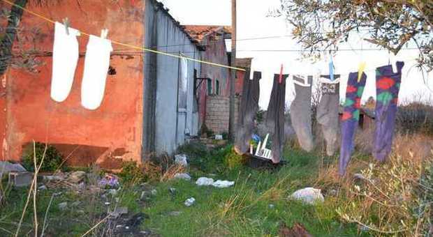 Albano, sgomberate le favelas: identificati quindici immigrati, dieci cagnolini affidati al canile
