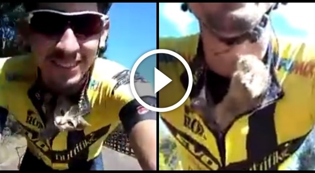 Il ciclista salva una gattina, lei lo ringrazia così