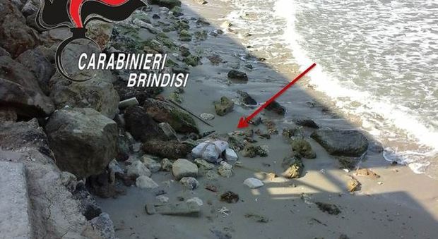 La marijuana rinvenuta sulla spiaggia di Brindisi