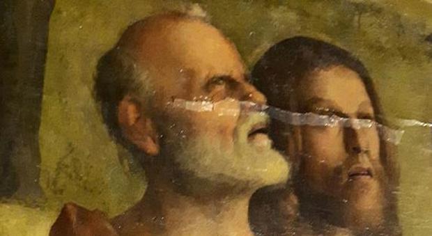 Sgarbi sul Bellini restaurato e rovinato: «Il museo non c'entra, colpa del freddo»