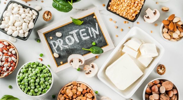 Dieta, ridurre solo del 4% le proteine animali dimezza il rischio morte