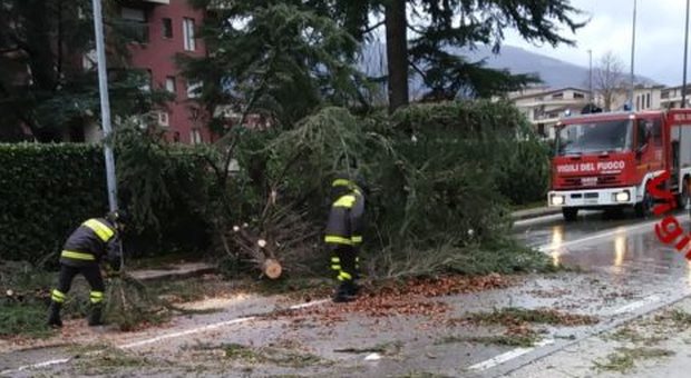 Maltempo, paura anche in Irpinia: albero cade, abitazione evacuata