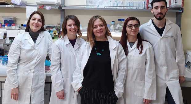 Coronavirus, a Napoli un gruppo di ricercatori del Cnr lavora a nuove terapie
