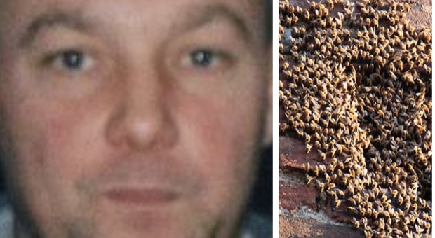 Anagni, muore sul tetto di casa assalito da uno sciame di vespe: aveva 52 anni