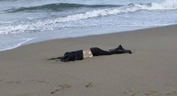 Salerno, studenti in gita sulla spiaggia trovano un cadavere: giallo a Paestum