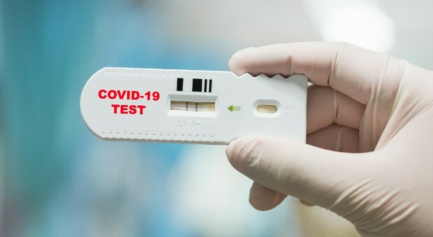 Covid, in Puglia arrivano i test rapidi in farmacia: non potranno costare più di 20 euro