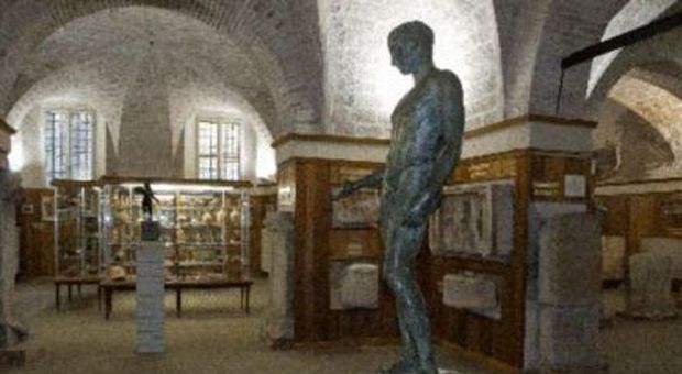 Gli Usa offrono la restituzione di una statua etrusca rubata a Pesaro