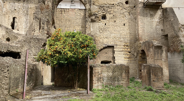 Riapre l’area archeologica di Forcella: tre speciali visite per ammirare le bellezze di Napoli