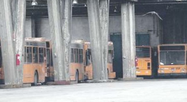Bus, blatte e sporcizia: ferme quindici linee a Napoli e l'Anm va in Procura