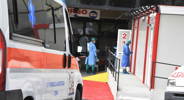 immagine Terni, la macchina della sanità: l'accettazione dei malati al Pronto soccorso
Fotogallery Angelo Papa
