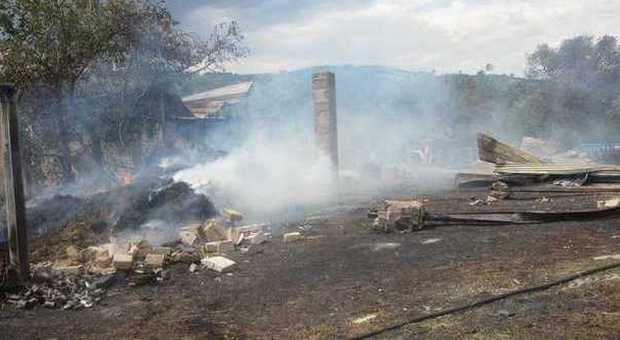 Azienda agricola in fiamme: distrutti capannone, trattore e raccolto