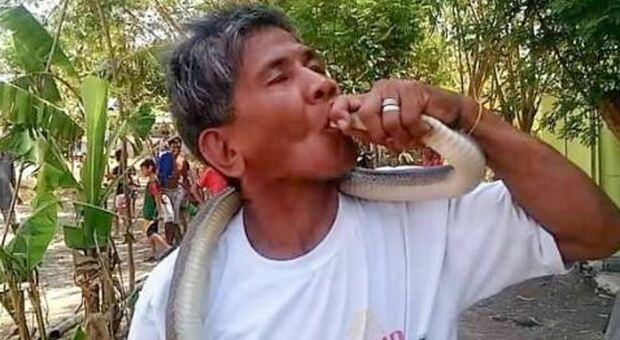 Guru dei serpenti ucciso dal bacio del suo cobra. Prima di morire diceva: «Veleno? Sono immune»