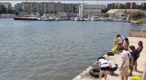 Goletta Verde sbarca in città per ripulire i fondali del porto interno