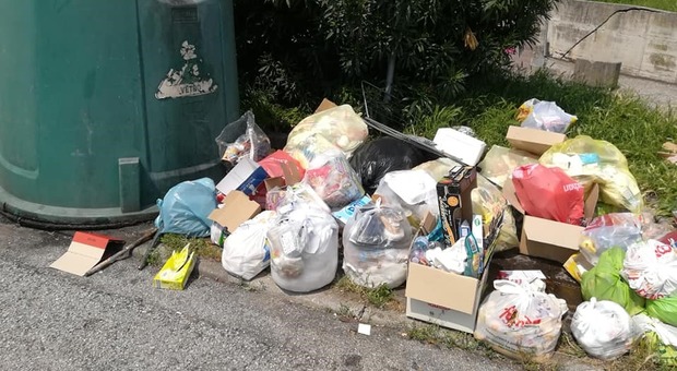 I rifiuti abbandonati ad Arzignano