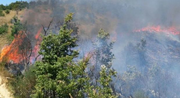 Incendi a Santa Marinella e Roma Ad Ardea bruciate quattro auto