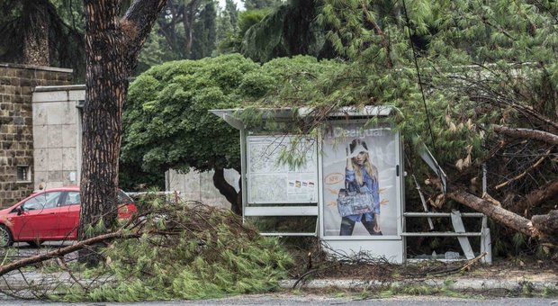 Maltempo a Roma, albero cade su pensilina Atac: 4 feriti