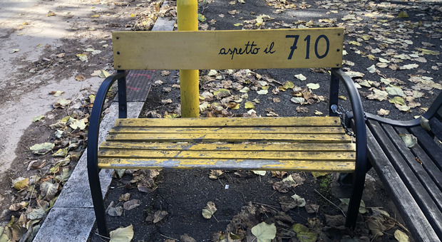 Roma, alla fermata del bus spunta un “salotto”: «Aspetto il 710». Ma l'autore è misterioso