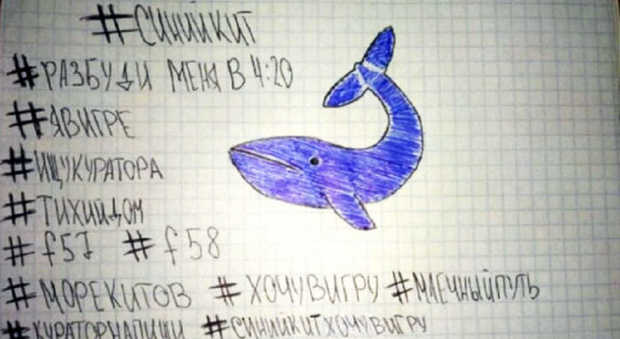 Blue whale, una ventenne rischia il processo: "Su Instagram chiese a una 12enne di tagliarsi"