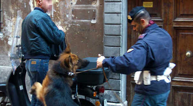 Droga nascosta in centro a Padova: i cani la trovano nelle grondaie