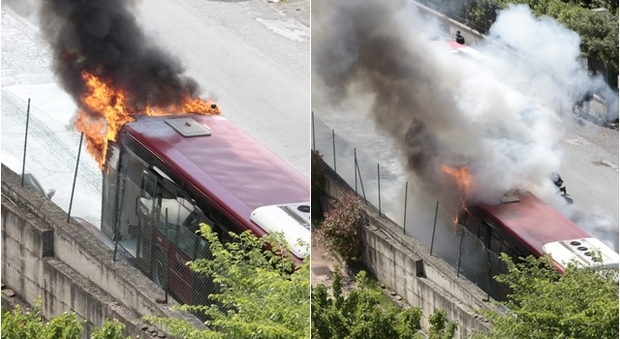 immagine Autobus in fiamme a via Portuense: l'intervento dei vigili del fuoco