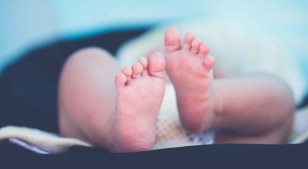 Resti di 11 neonati morti trovati dentro una bara in un soppalco di un'agenzia funebre