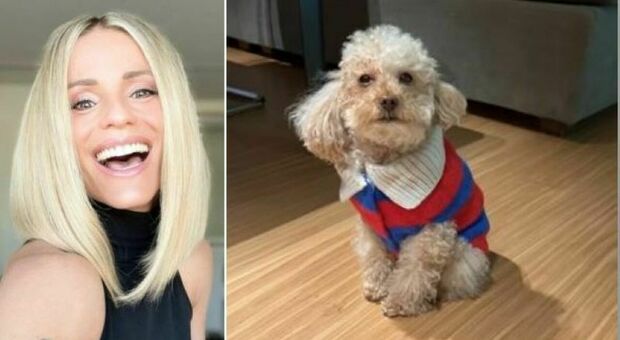 Michelle Hunziker fa arrabbiare il cagnolino: «Leone non è per nulla convinto»