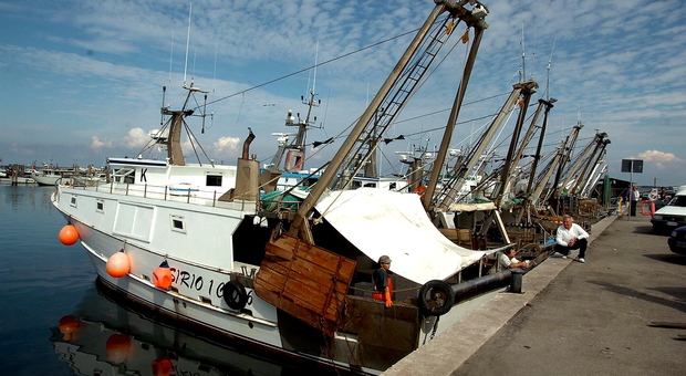 Troppo estese le zone "protette" stabilite dalla Ue: pesca a rischio nel Delta