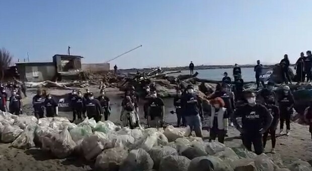 L'esercito dei volontari pulisce la spiaggia: quintali di plastica recuperati sul litorale