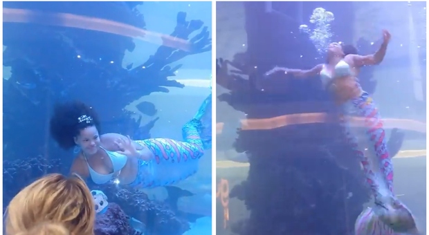 'Sirena' in un acquario, la coda incastrata sul fondo: salvata in extremis