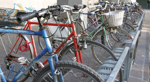 Biciclette parcheggiate in piazza Borsa, in centro a Treviso