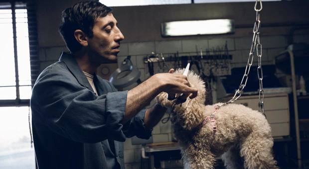 “Dogman” è il film italiano dell'anno all'Ischia Global Film & Music Festival