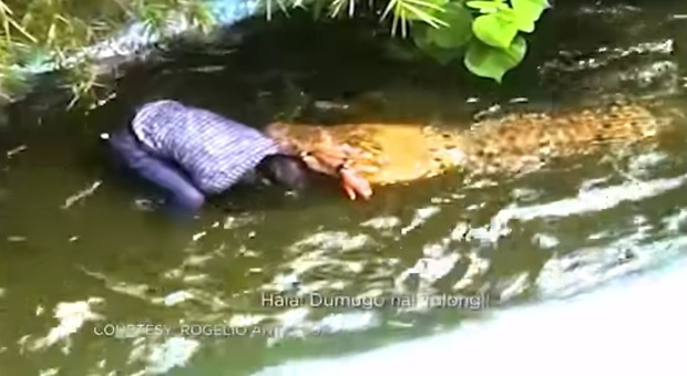 Fanatico del selfie si avvicina al coccodrillo: attaccato e morso si salva per miracolo