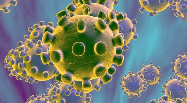 Coronavirus: 650 contagiati in Italia, 17 le persone che hanno perso la vita