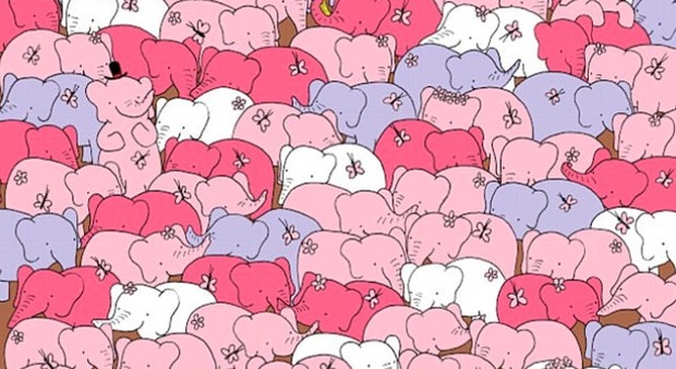 Riuscite a trovare il cuore tra gli elefanti colorati? Ecco il nuovo rompicapo del web