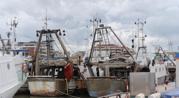 Pesca, caro gasolio: la flotta abruzzese torna in mare