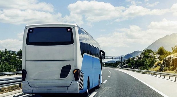 Agenzia abusiva organizzava viaggi turistici, i vigili bloccano bus in partenza per Belluno