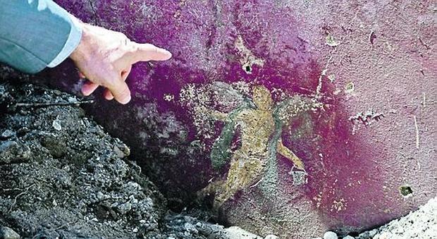 Mario Fabbroni Dalle terra vergine di Pompei, 66 ettari mai scavati prima, vengono