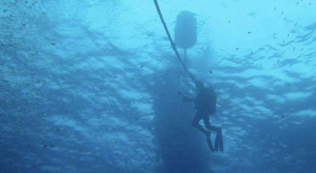 Tragica immersione all'isola dei Cavoli: una sub muore a 54 anni