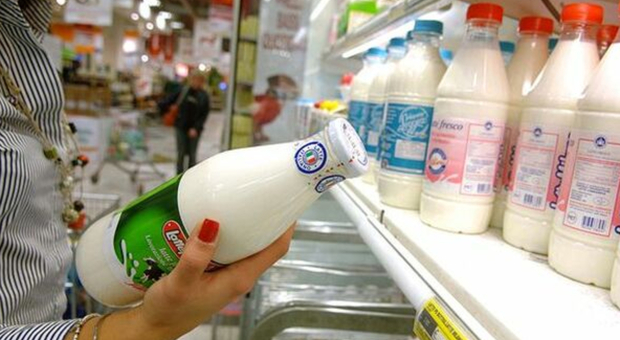 Latte, allerta per alcuni prodotti con gusto anomalo: richiamo di Carrefour, iper e Milgross