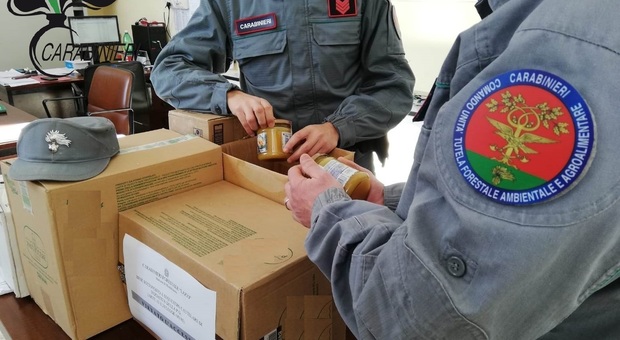 Rieti, sequestrati 6 quintali di miele, maxi multa e tre denunciati dai carabinieri forestali