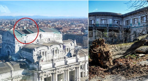 Vento Milano, crolla parte del tetto della stazione centrale: raffiche a 90 km/h. Coppia travolta da un albero: lui grave