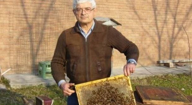 Muore assalito da uno sciame mentre insegna il mestiere di apicoltore