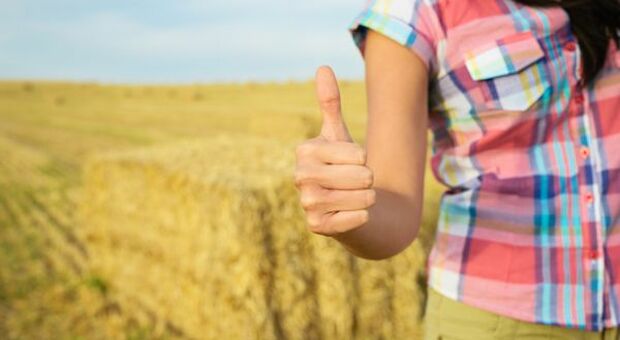 Imprese, Coldiretti: "Nel 2020 record giovani in agricoltura"