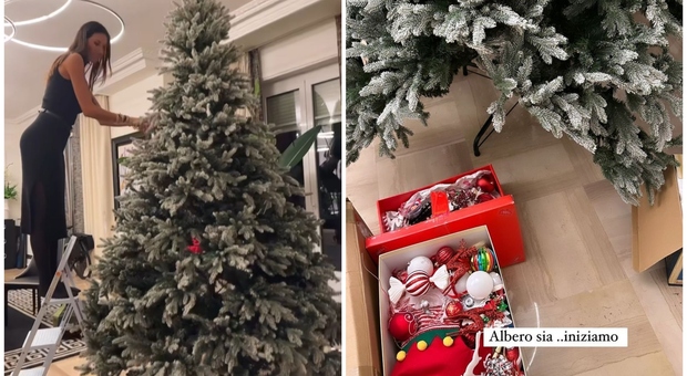 Elisabetta Gregoraci, il super albero di Natale: «Se non cado è già qualcosa...». Poi monta l'addobbo a sorpresa