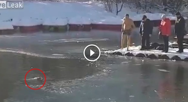 L'uomo salva il cagnolino nel lago ghiacciato