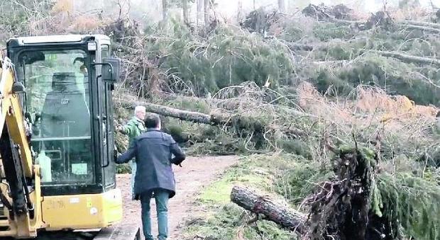 Nevegal, ettari di alberi caduti: cercasi volontari esperti con patentino di motosega